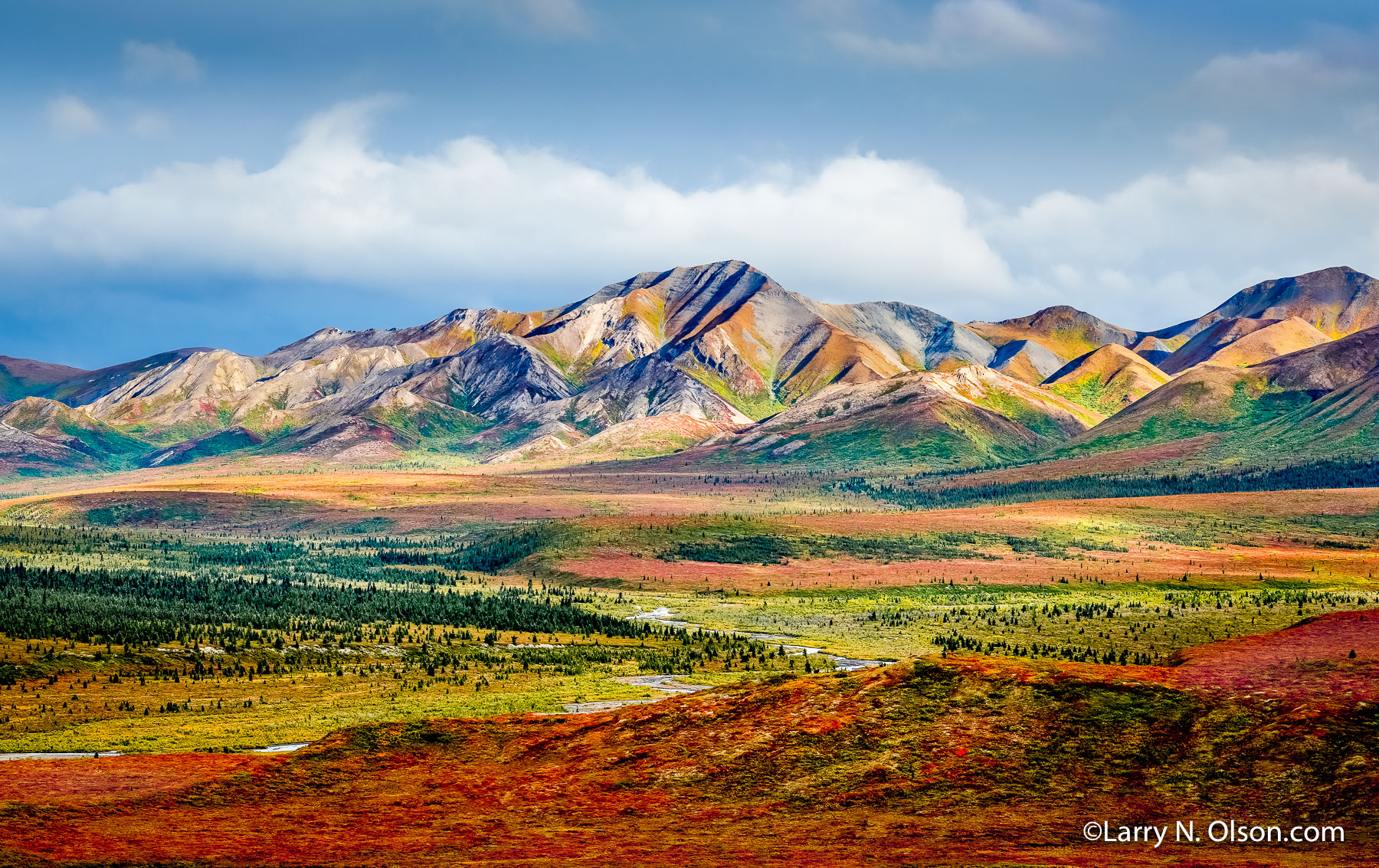 Savage River, Denali Wilderness, Denali National Park, Alaska | 