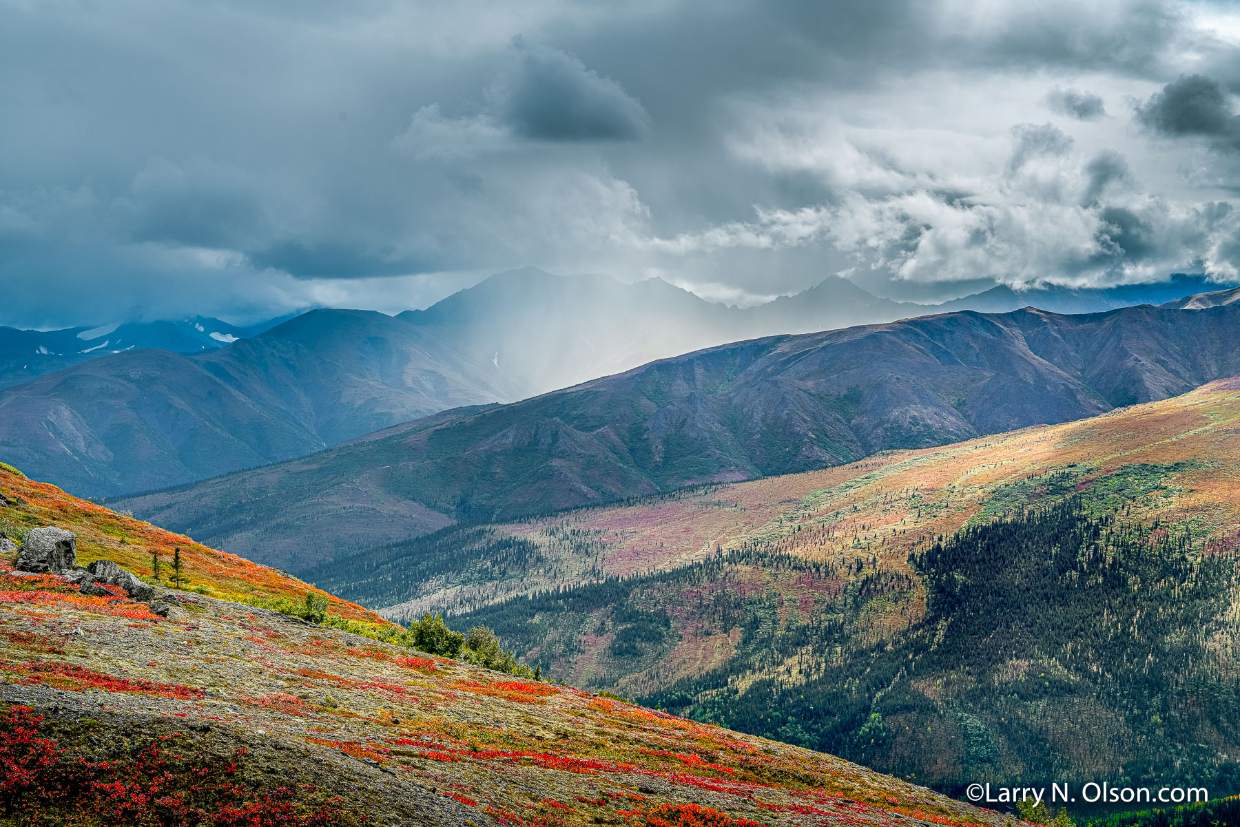 Mount Healy, Denali National Park, Alaska | 