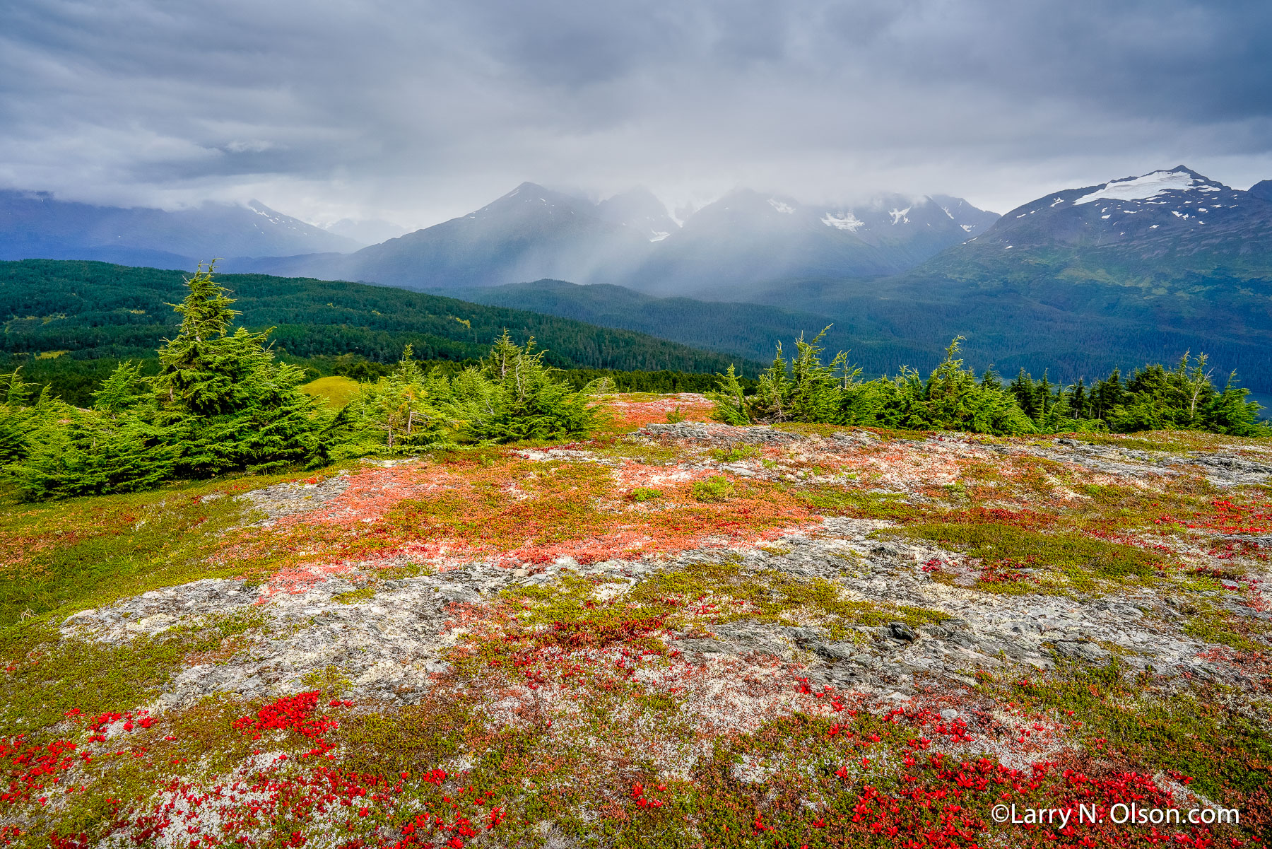 Chugach National Forest, Alaska | 