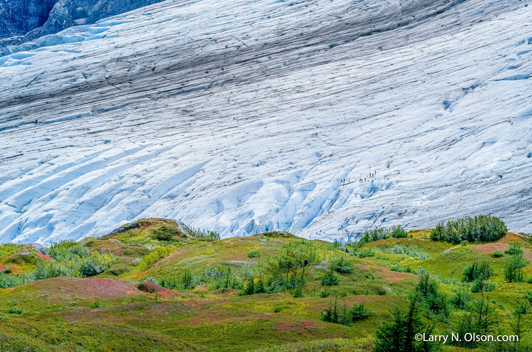 Kenai Fiords National Park, Alaska | 