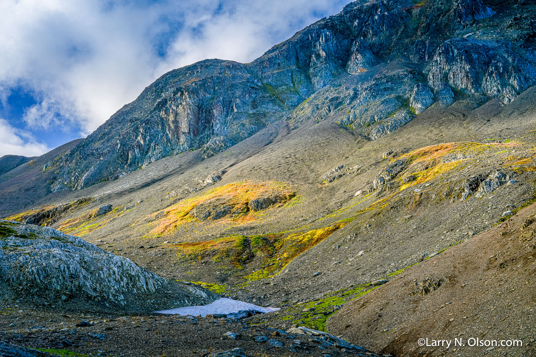 Kenai Fiords National Park, Alaska | 