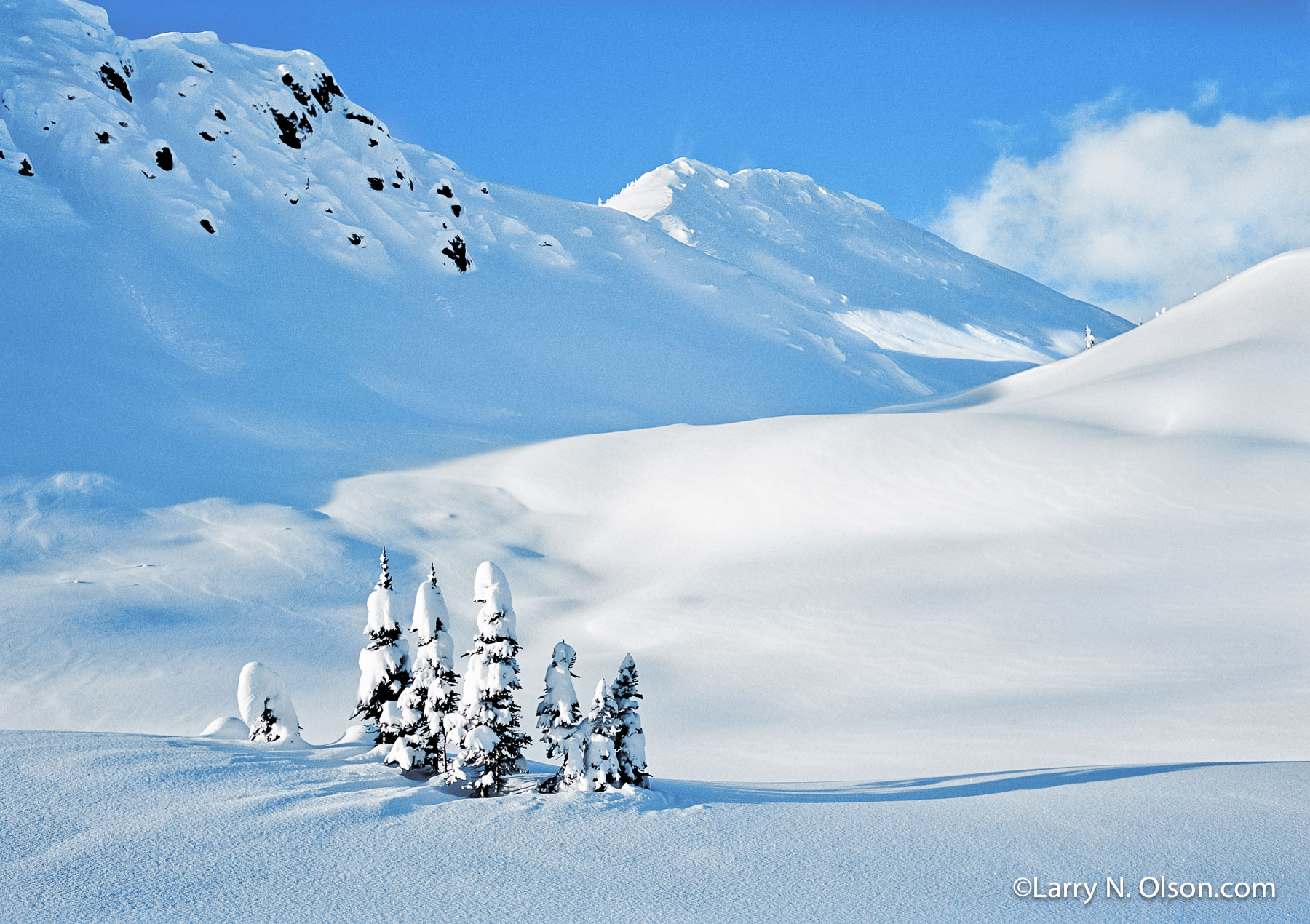 Winter Selkirk Mountains Bc Larry N Olson Photography