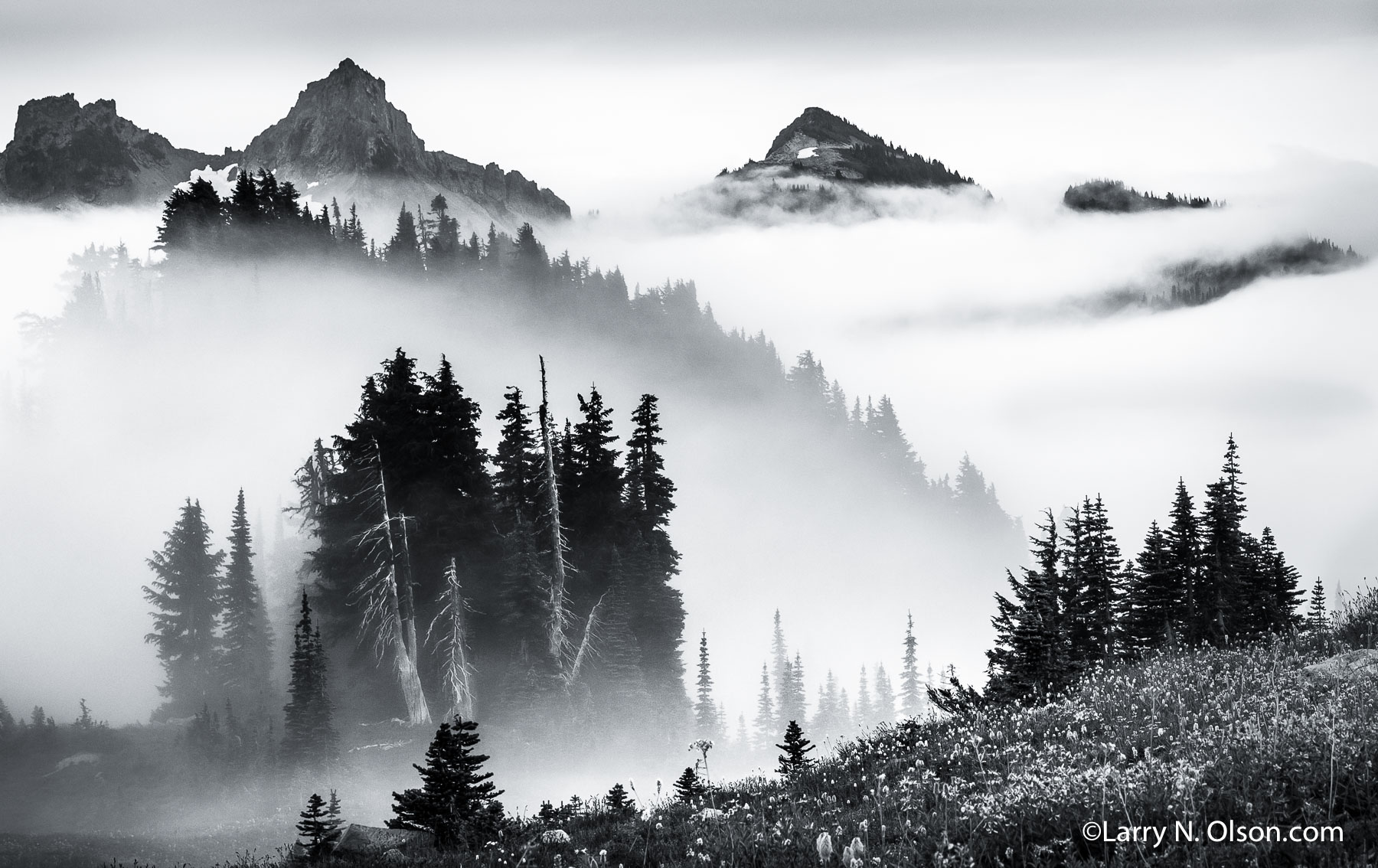 Tatoosh Range, Mt. Rainier National Park, WA | High peaks and ridges are silhouetted in layers of clouds and fog.