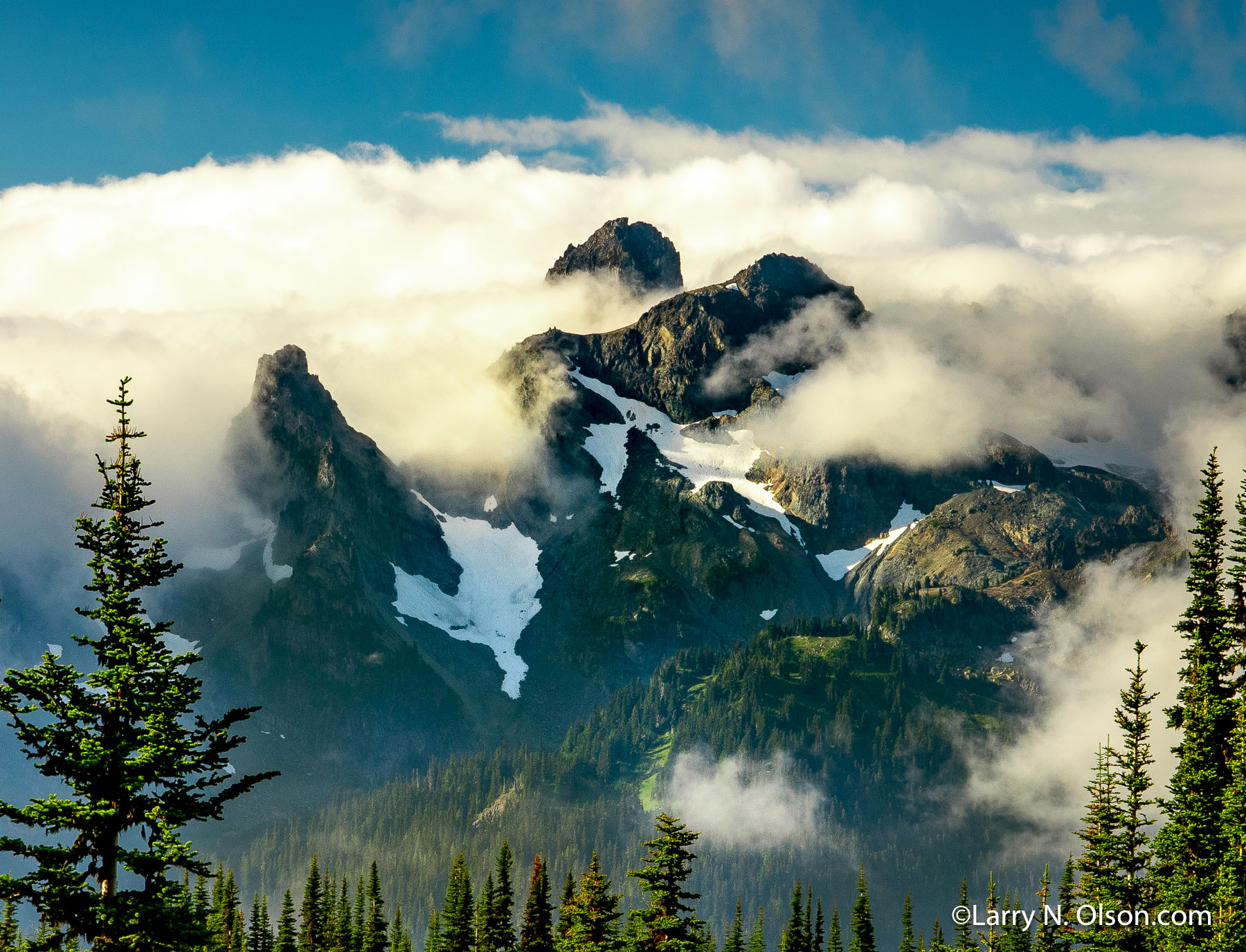 Mount Rainier National Park, WA | Mount Rainier National Park, WA