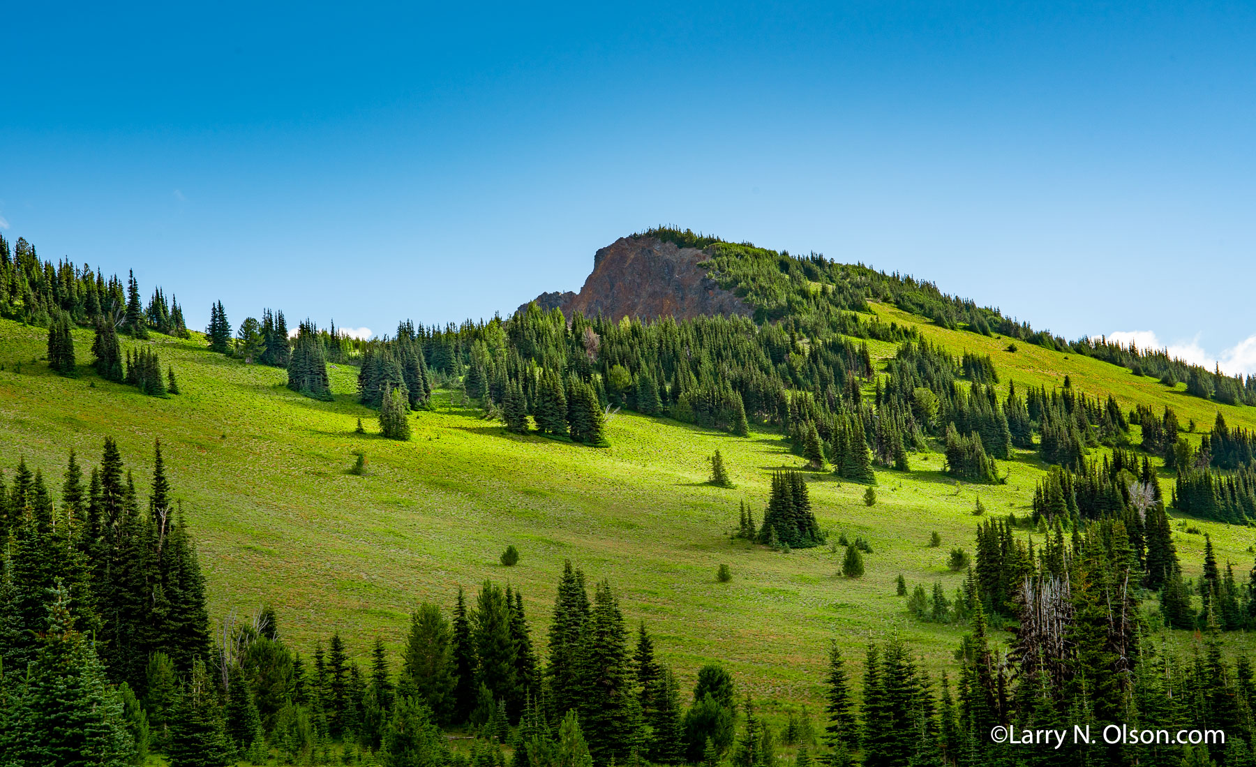 Sourdough Ridge, Mount Rainier National Park, WA | Morning sun lights up the meadows on Sourdough Ridge, Mount Rainier National Park, WA