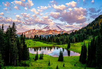 Tipsoo Lake, Mount Rainier National Park, Washington | A glorious sunrise in late July.