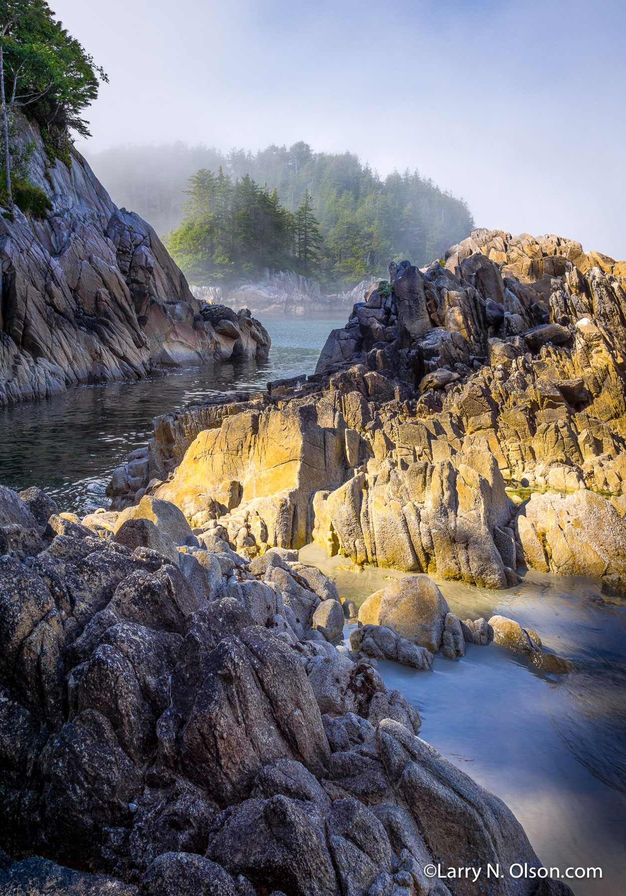 Low Tide, Hakai, BC | 