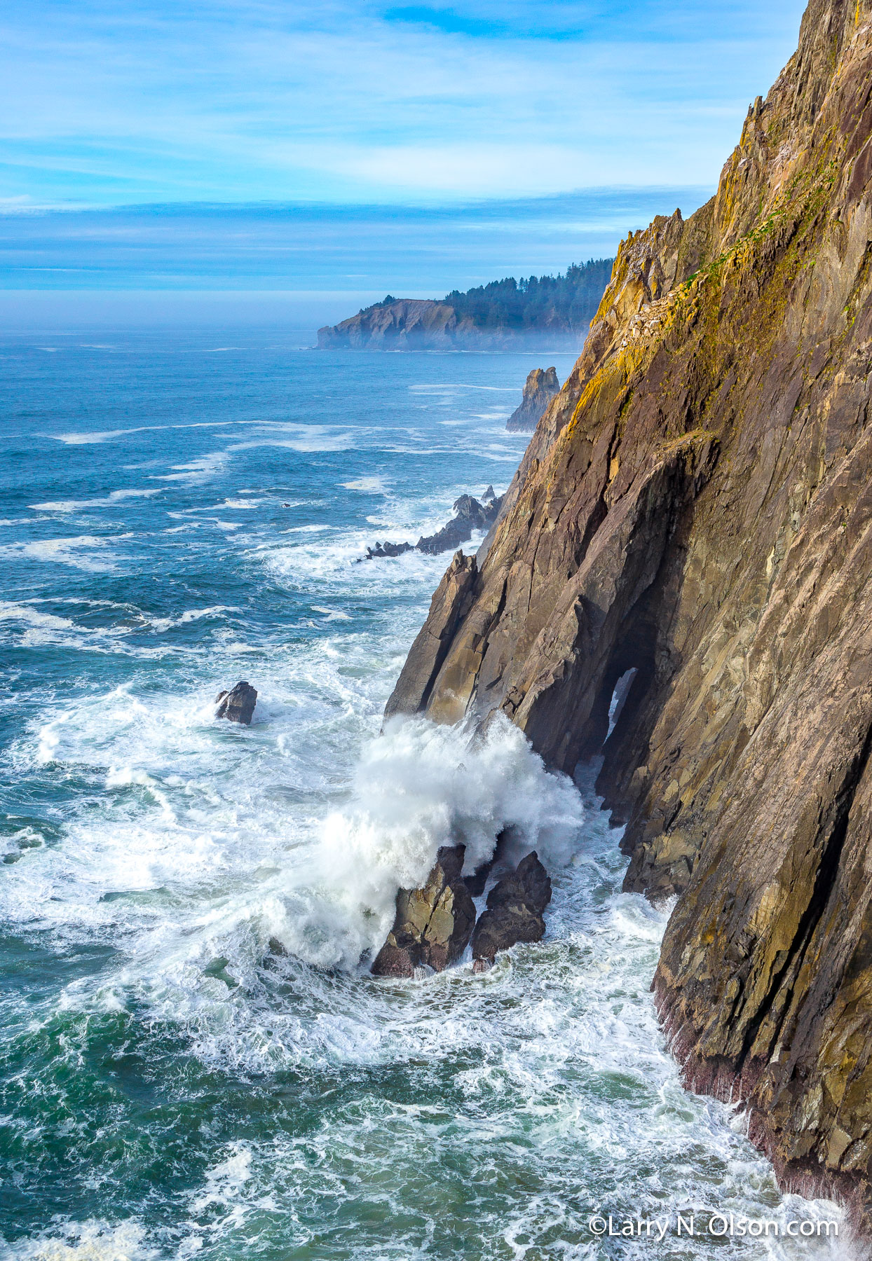 Oswald West State Park, Oregon | 