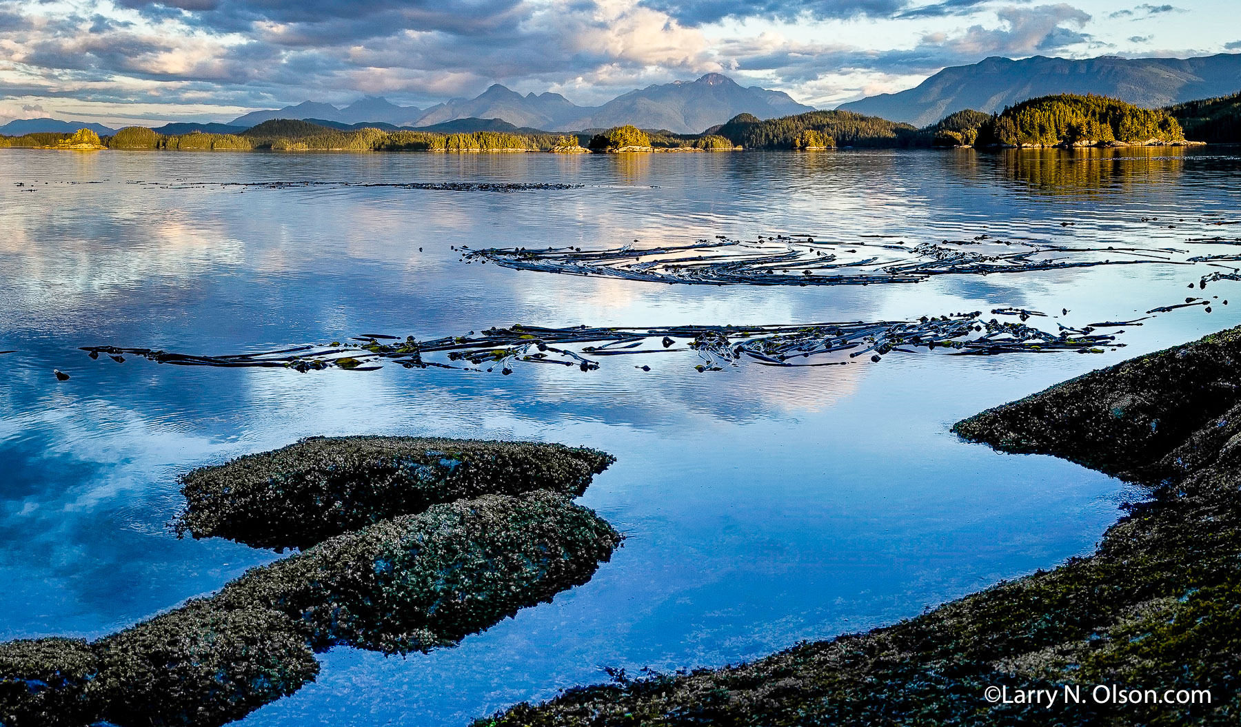 Broughton Archipelago, BC, | Broughton Archipelago, BC,