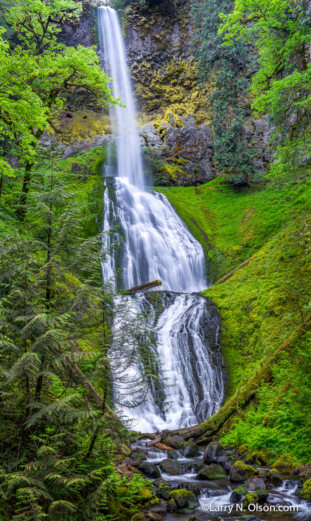 Pup Creek Falls, Clackamas River Drainage, OR | 