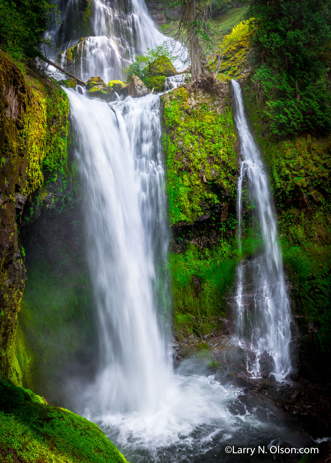 Falls Creek Falls, WA | Falls Creek Falls, WA, Falls Creek Falls, WA, plunge pool, mossy, verdent, double falls,