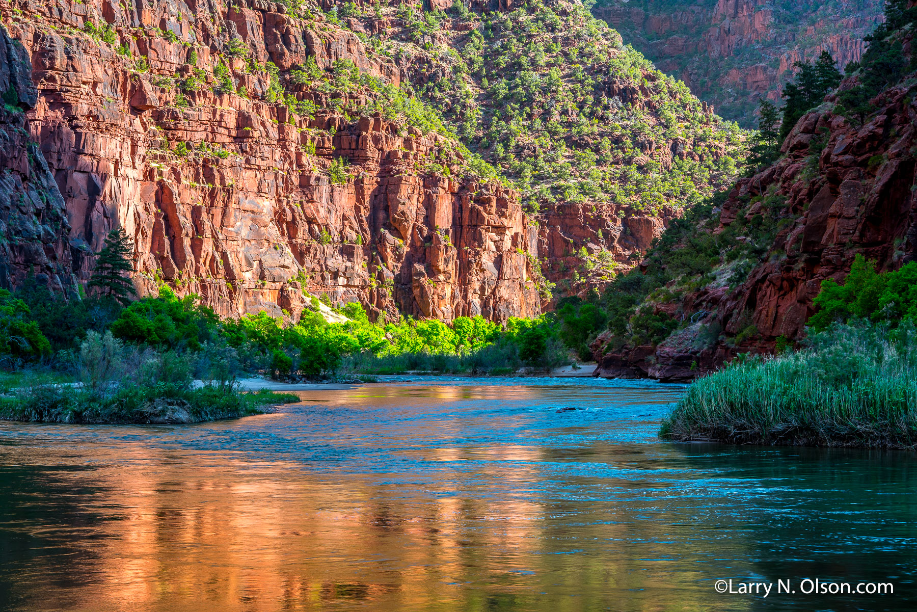 Gates of Lodore, Green River, Utah | 