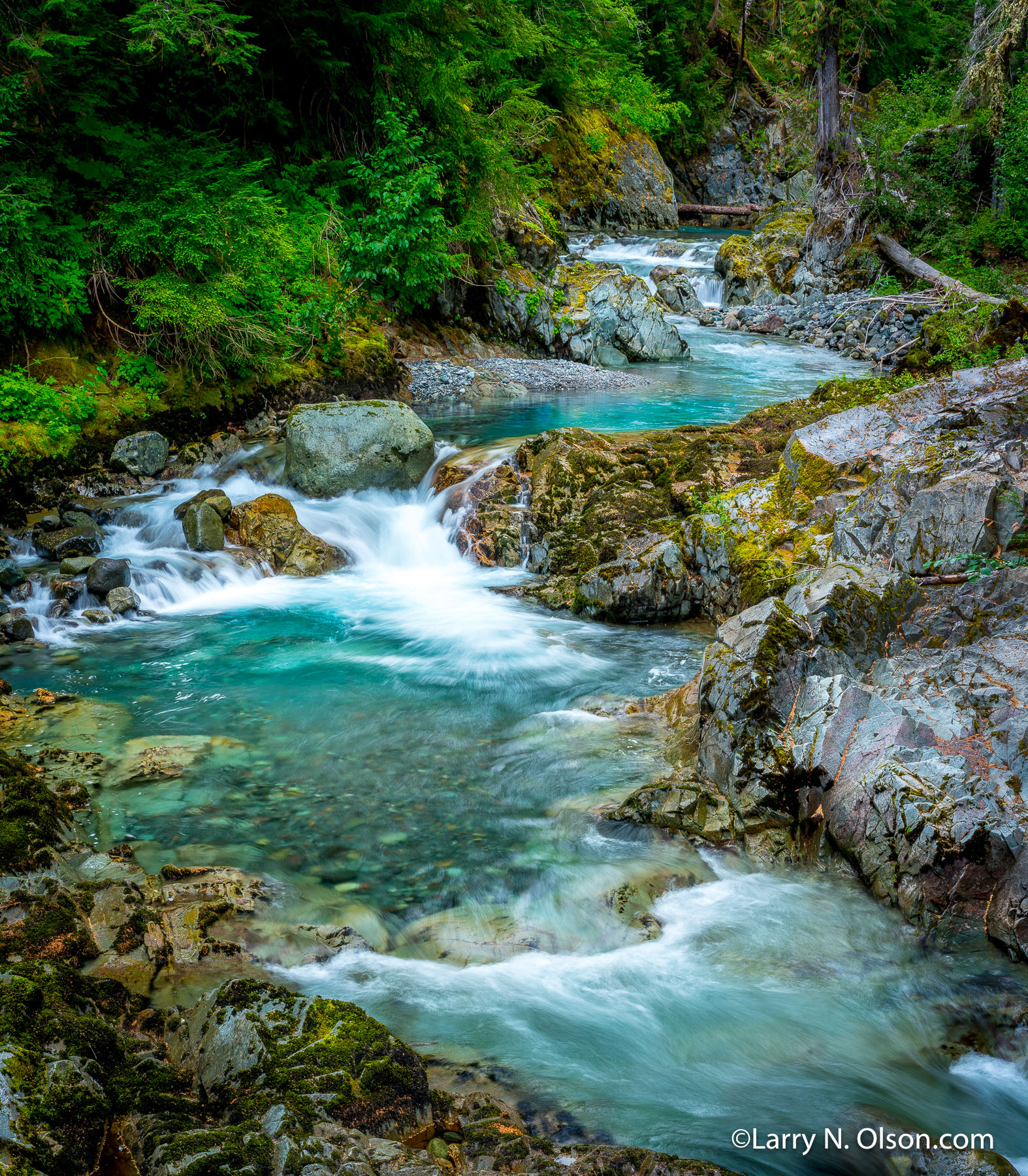 Ohanapecosh River, Mount Rainier National Park, WA | This flows through an old growth forest, and the water is crystline clear.