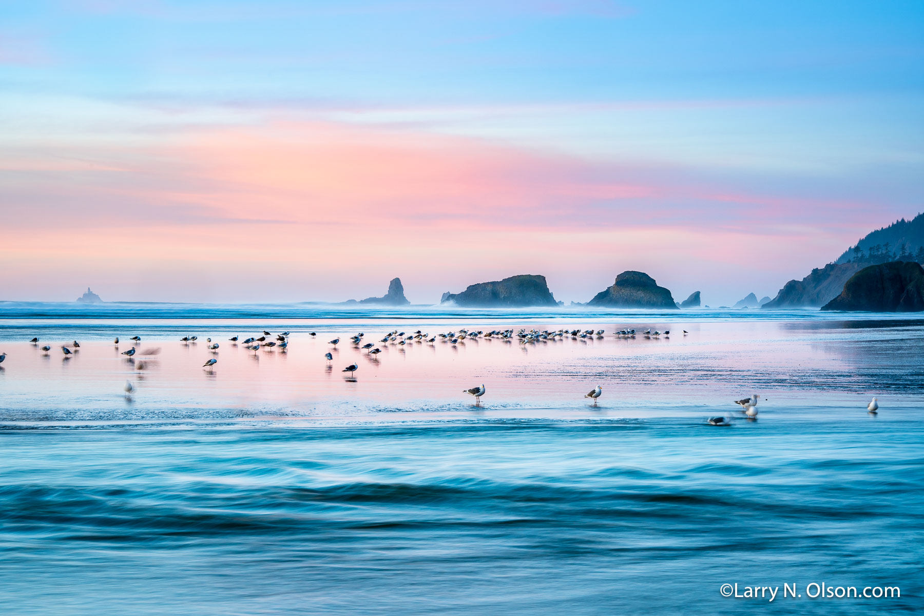 Cannon Beach, OR | 