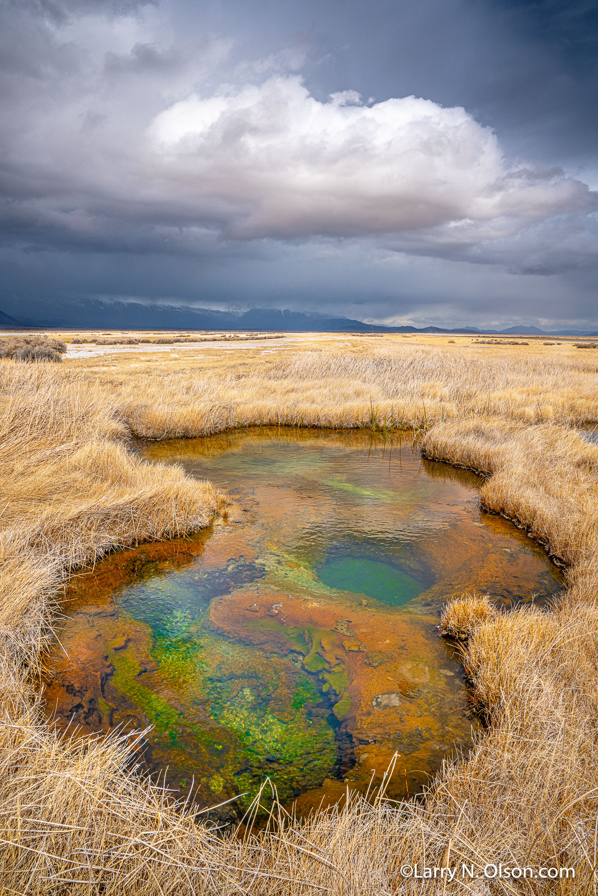 Hot Springs,  Alvord Desert, OR | 