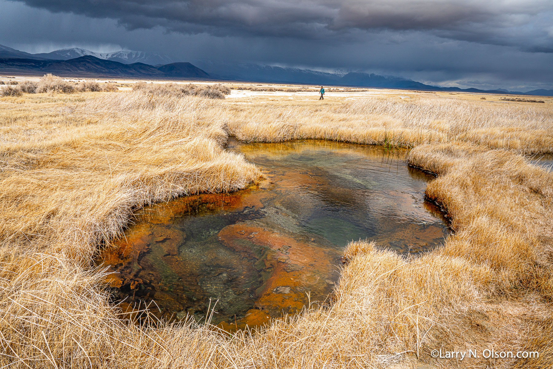 Hot Springs,  Alvord Desert, OR | 