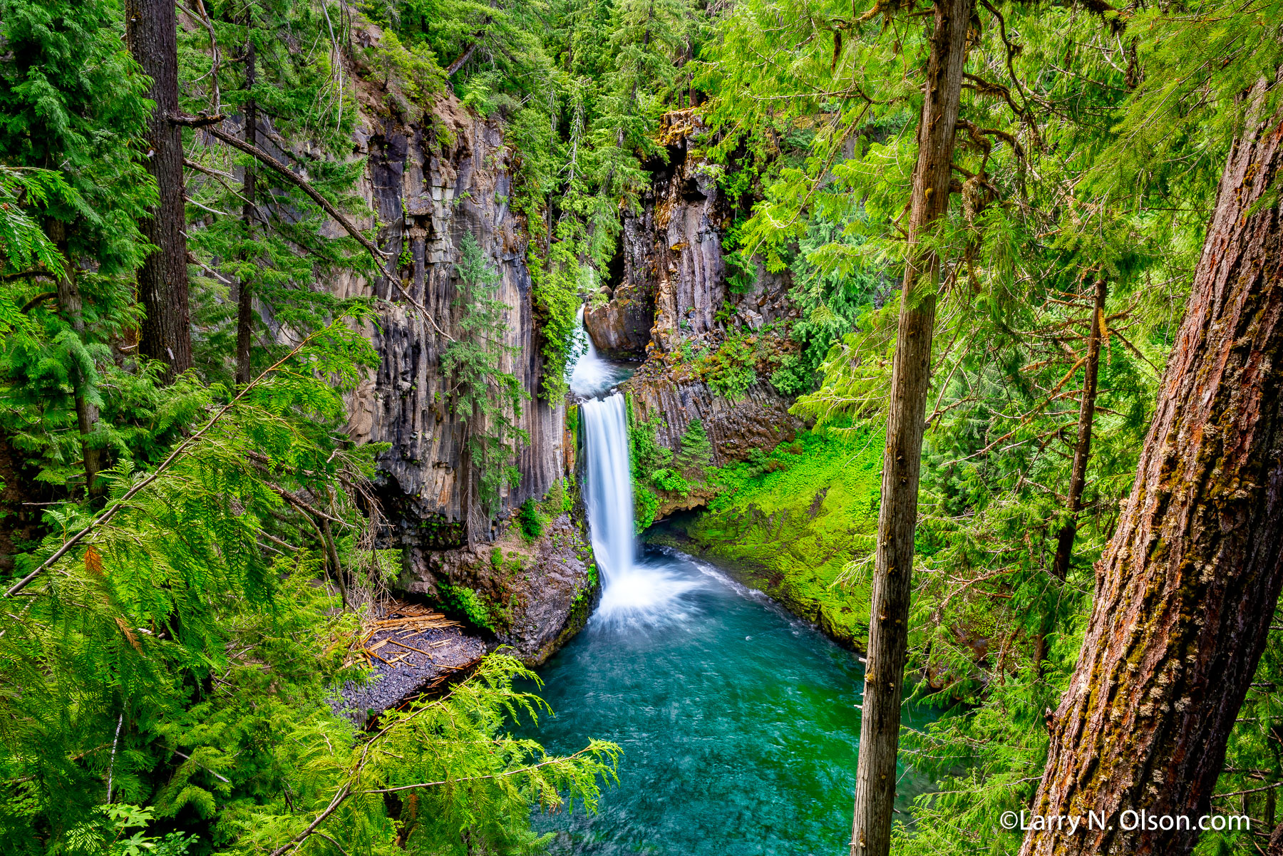 Toketee, Falls, North Umpqua River, Oregon | A lush and verdent forest overhangs these falls.