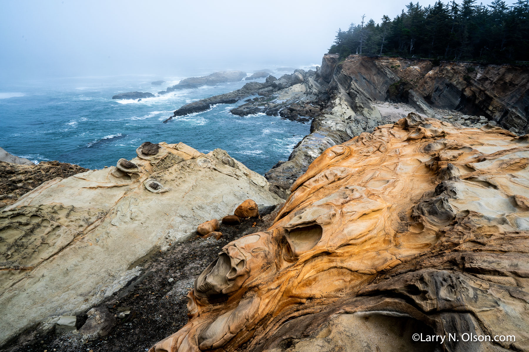 Shore Acres State Park, Oregon Coast | 