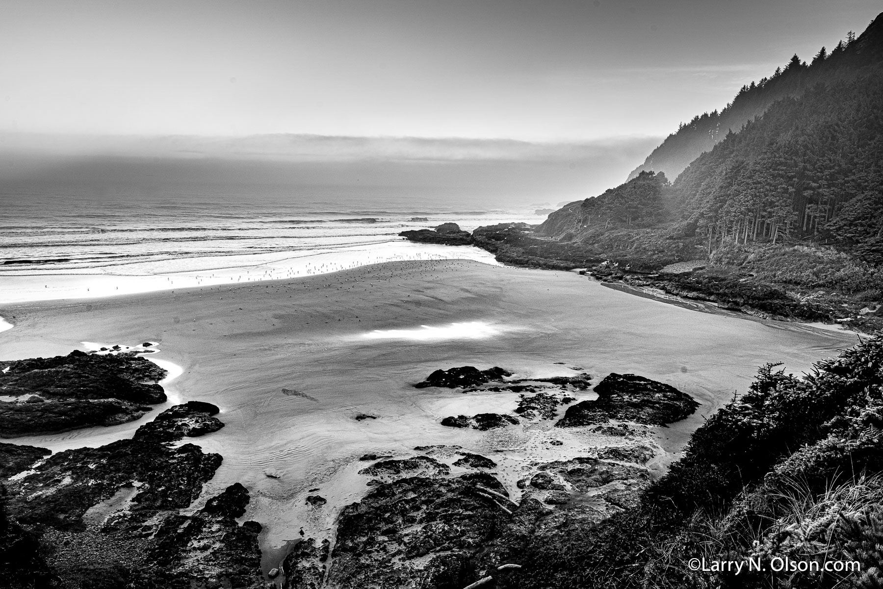 Cape Perpetua. Oregon | 