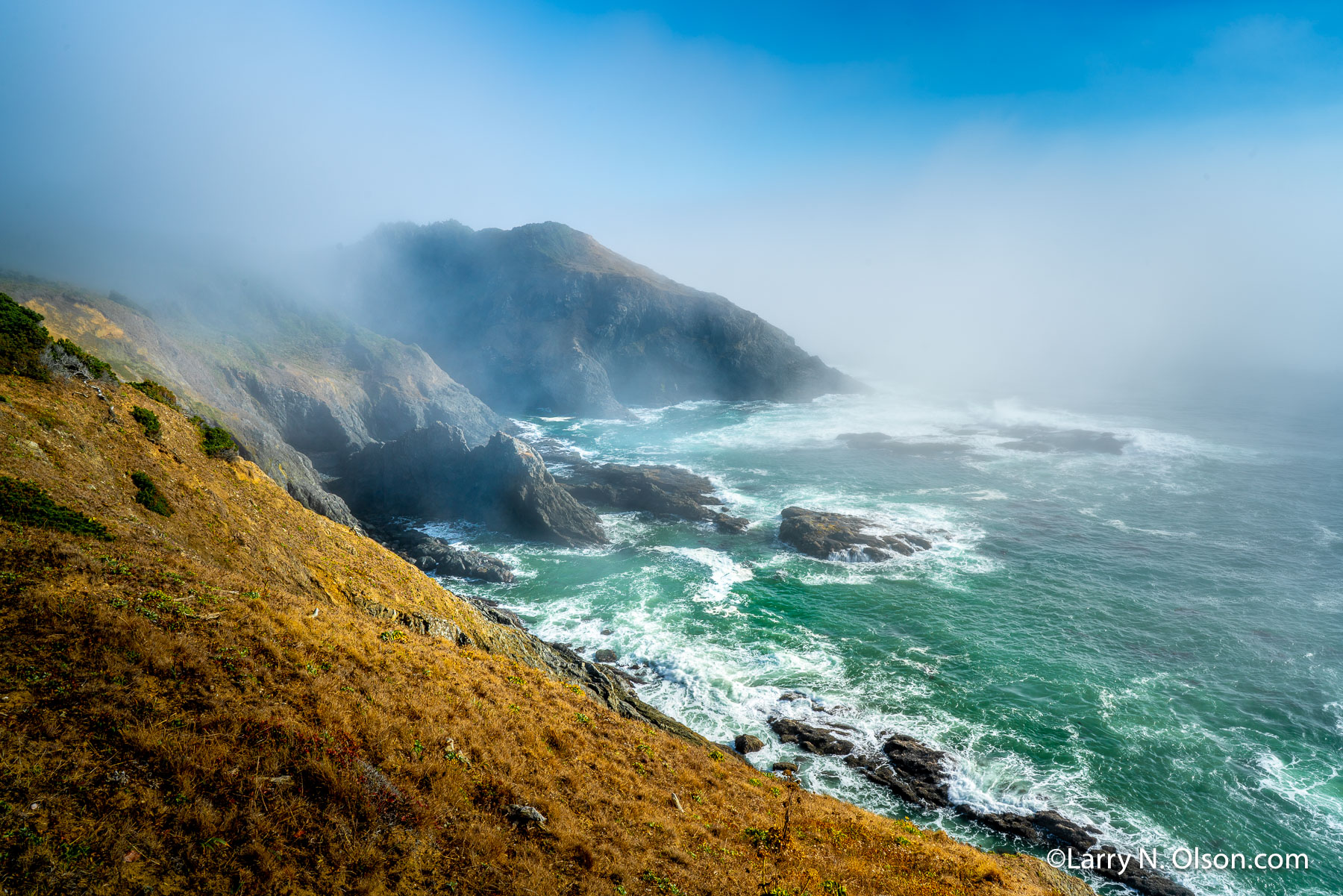 Port Orford Heads State Park, Oregon | 