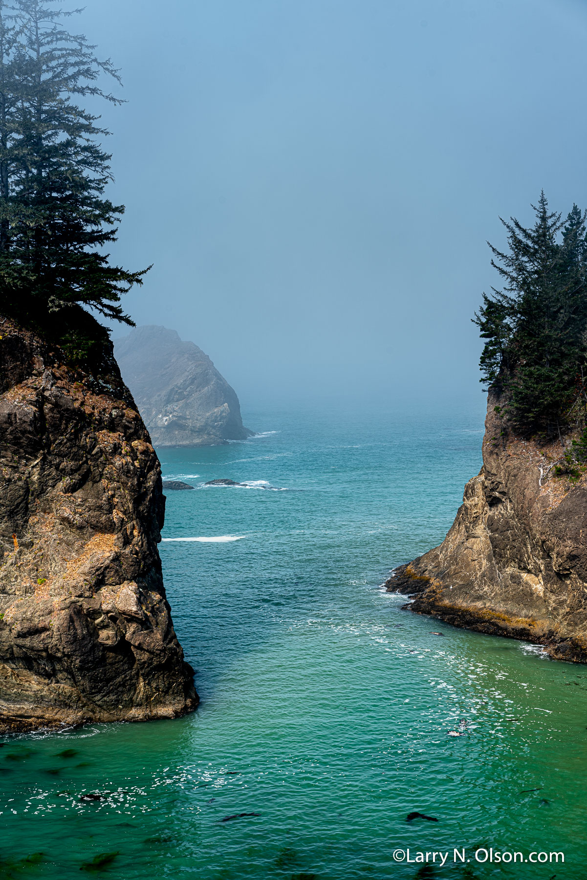 Sea Stacks, Samual Boardman State Park' OR | 