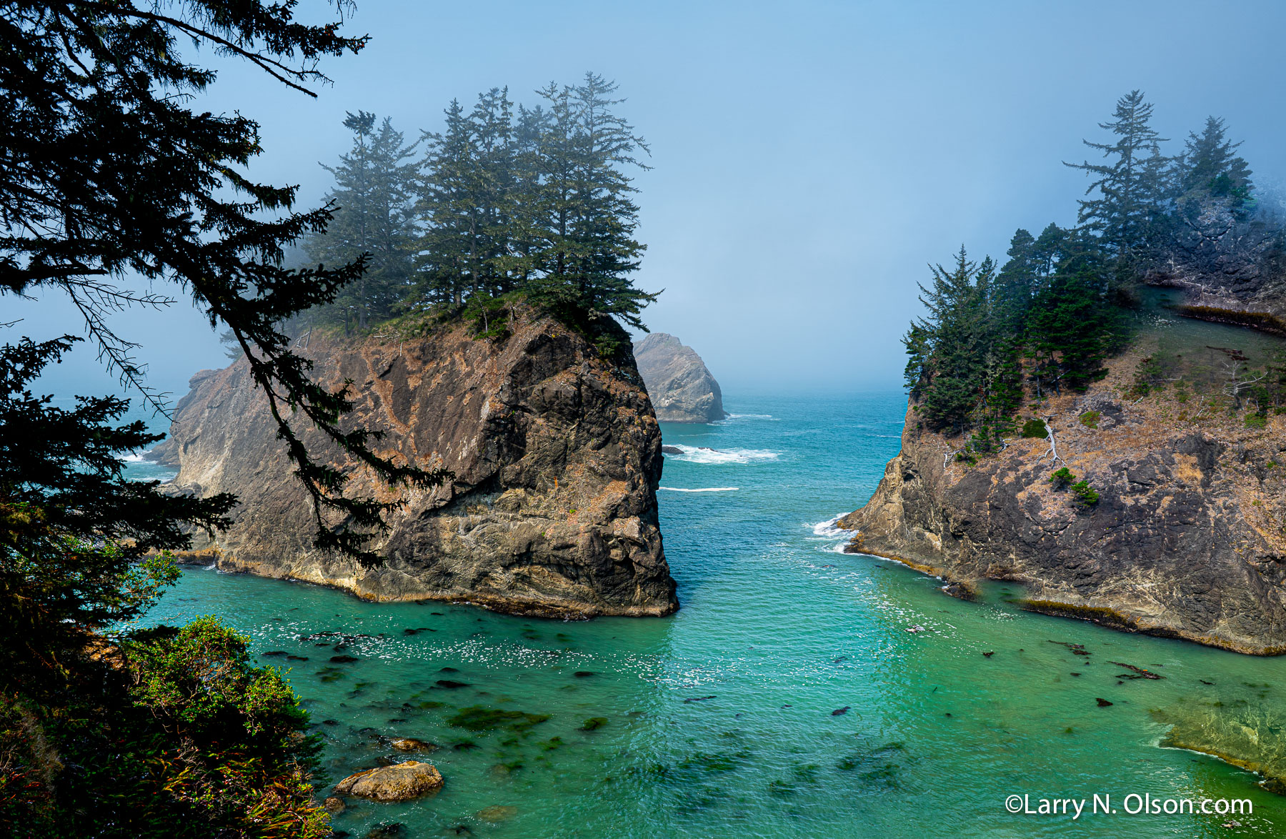 Sea Stacks, Samual Boardman State Park' OR | 