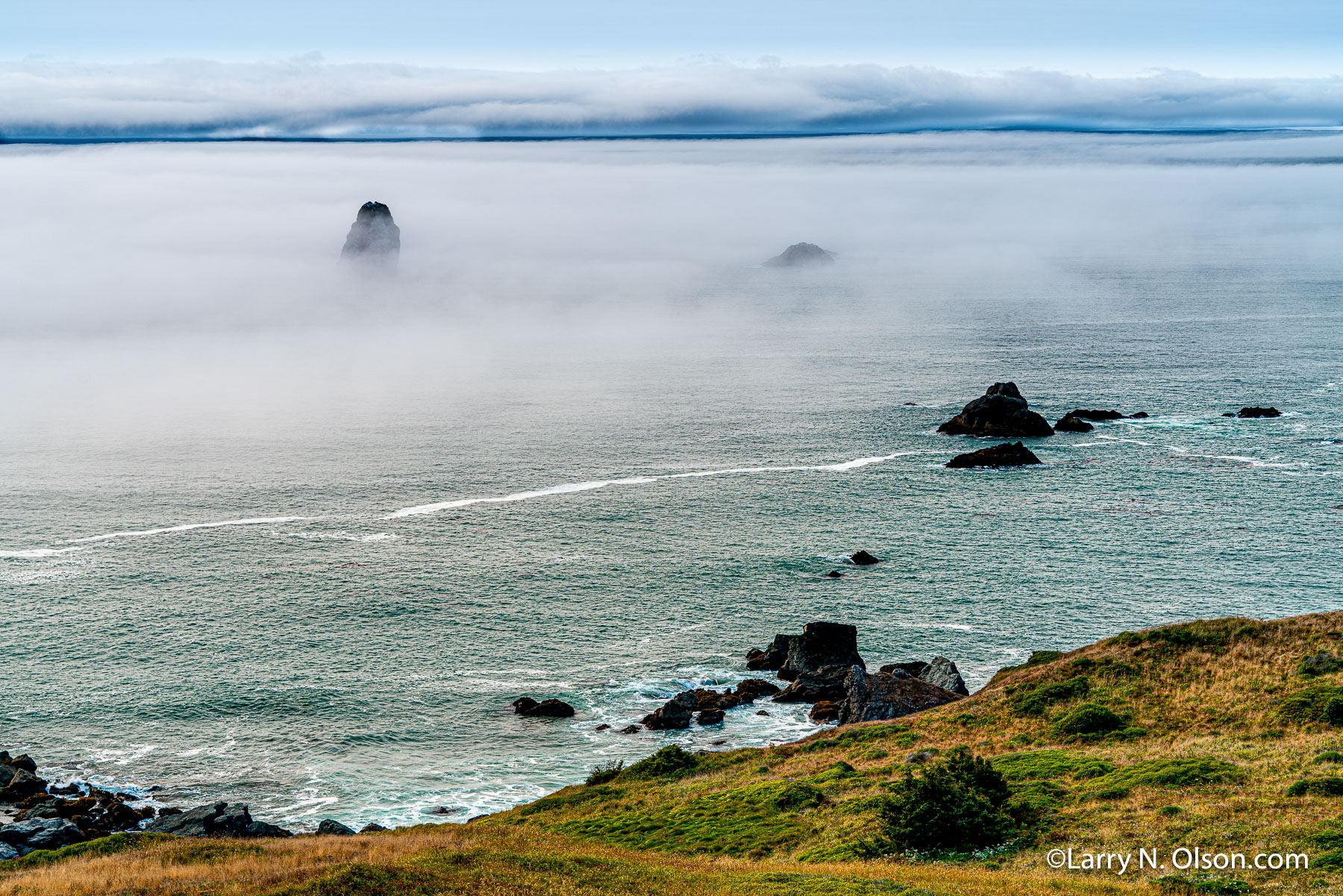 Samual Boardman State Park #5, Oregon Coast | 