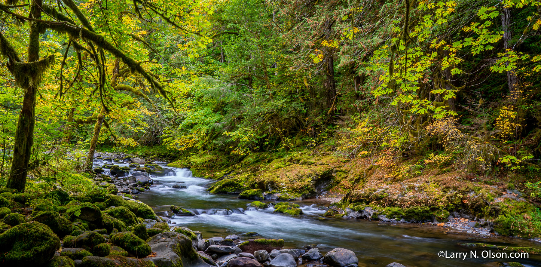 Salmon River, OR | 