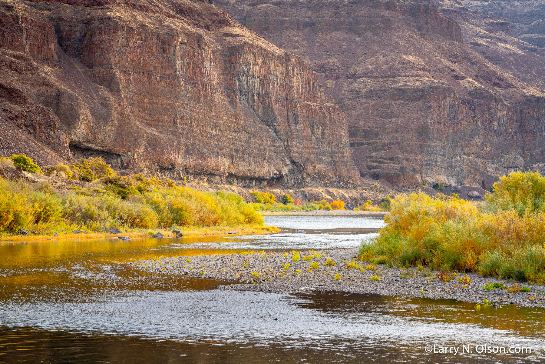 Cottonwood Canyon, John Day River, OR | Early morning in the fall along the willow lined John Day River in Oregon