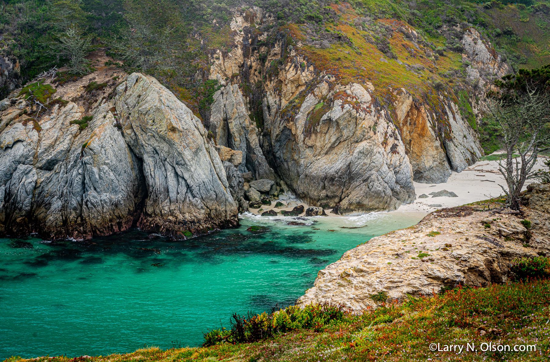 Point Lobos State Natural Reserve, CA | 