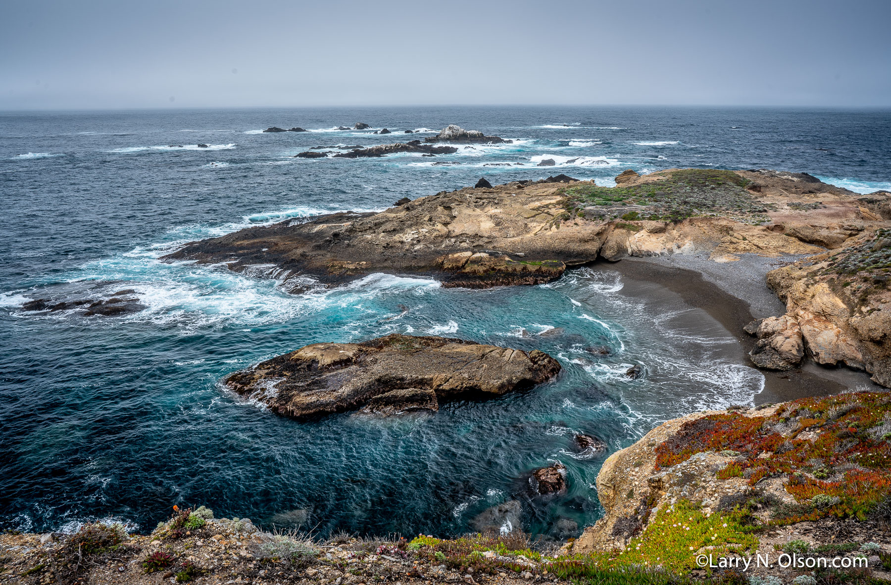 Point Lobos State Natural Reserve, CA | 