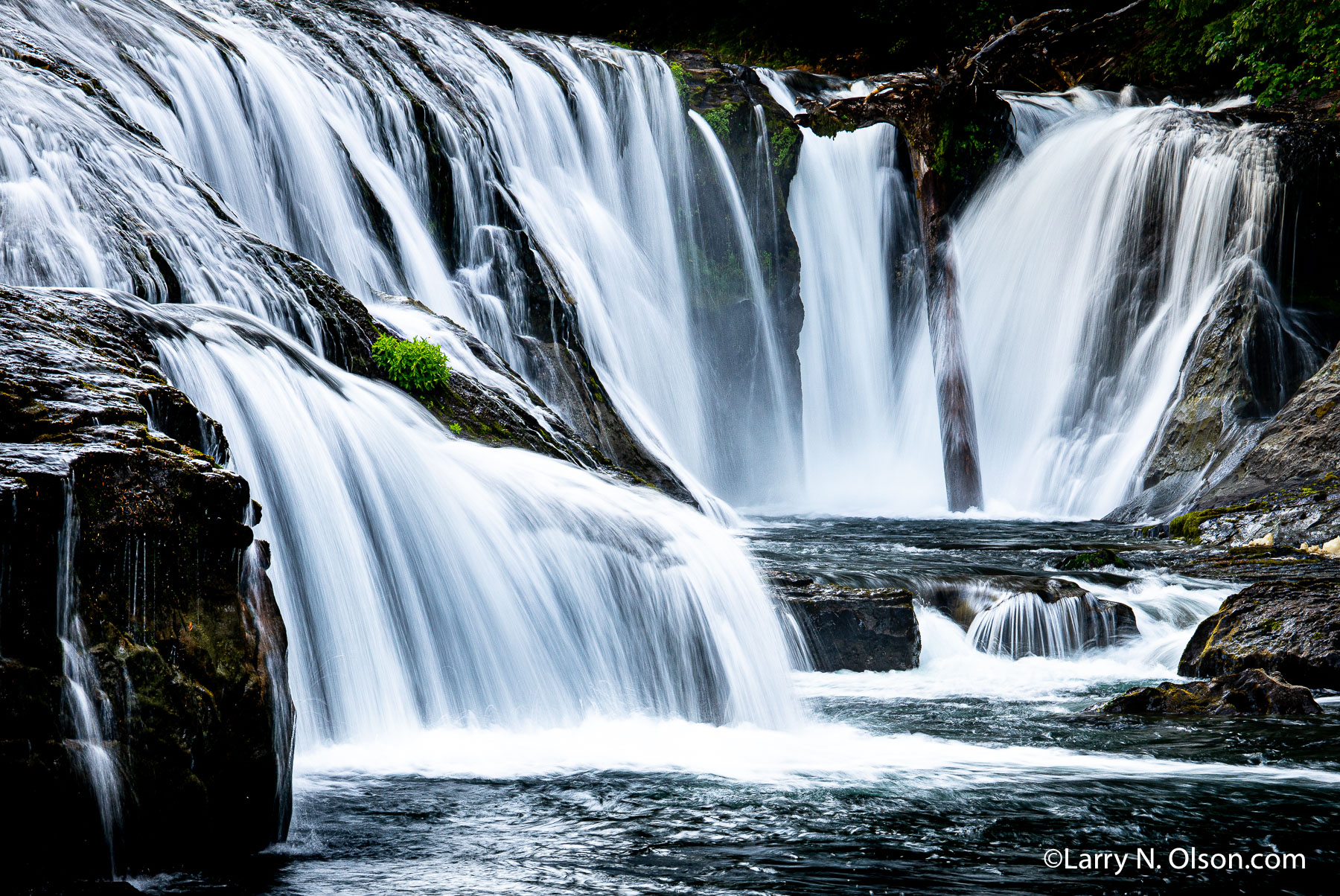 Lewis River Falls, WA | 