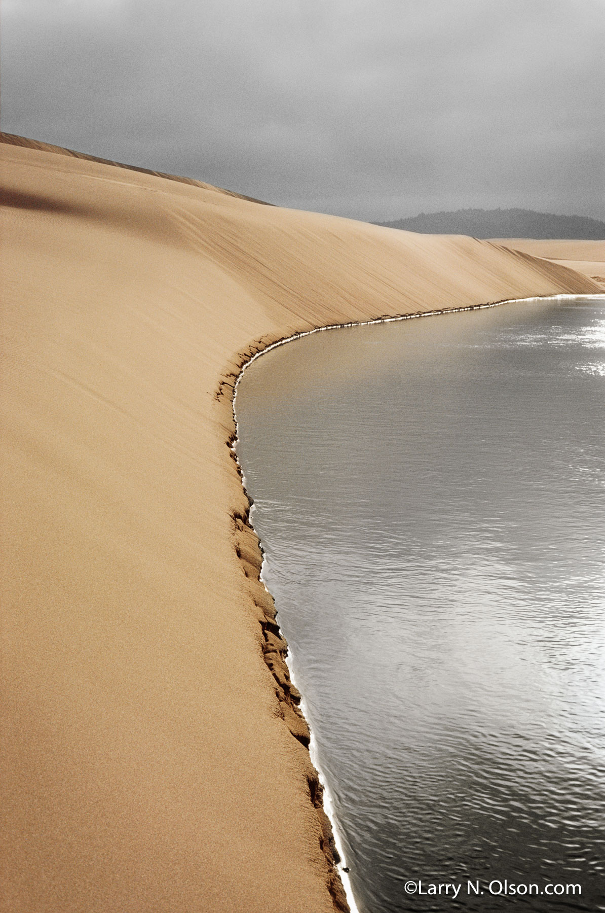 Ten Mile Creek,  Oregon Dunes, OR | Sunlight burns through the costal fog, highlighting a serene creek and sand dunes.