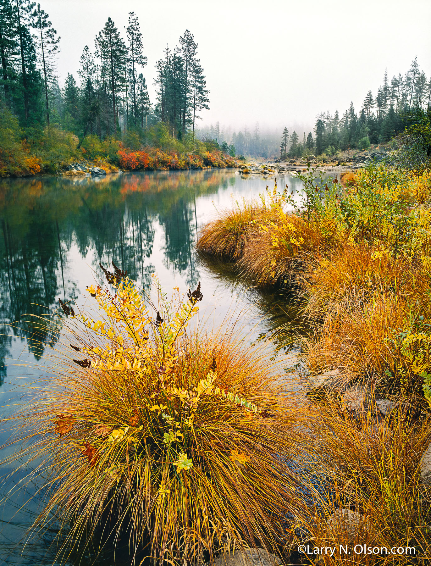 Illinois River, Oregon | The mirrorlike waters reflect the fall landscape of sedges and forest along the Illinois River.