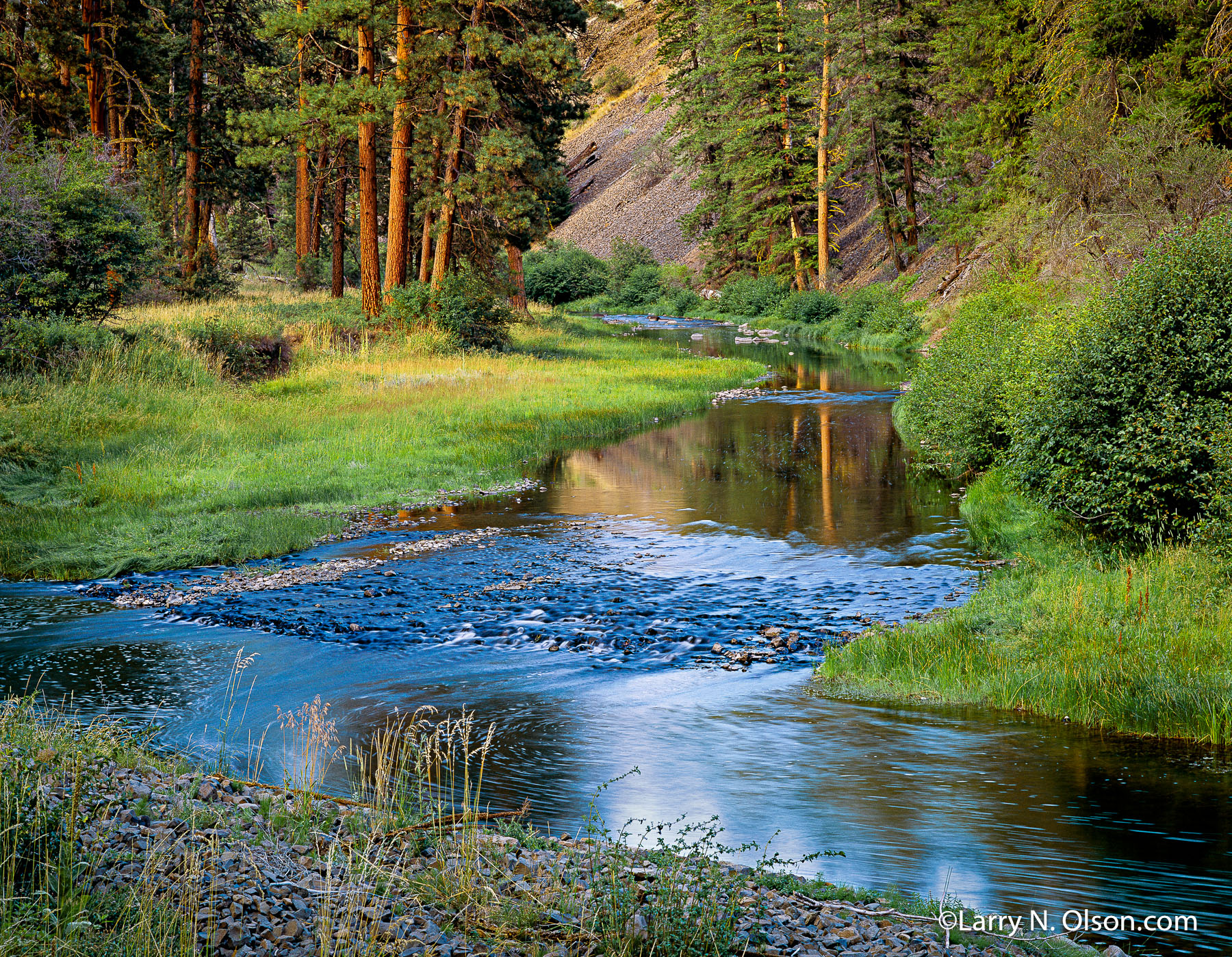 North Fork, Crooked River, OR | An iddelic bend in the river is compleat with a grassy bench and old growth Pondersa Pines.