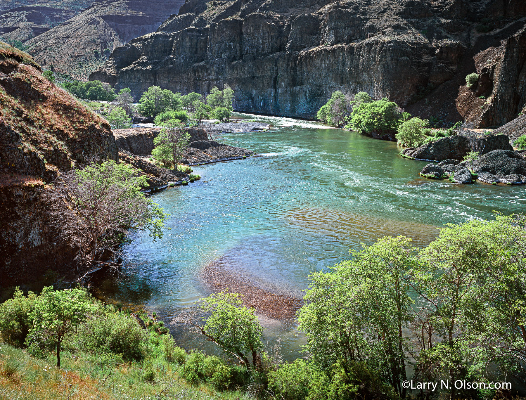 Deschutes River, OR, | A large eddy forms a gravel bar between rapids. Basalt cliffs and Hackberry trees line the banks.