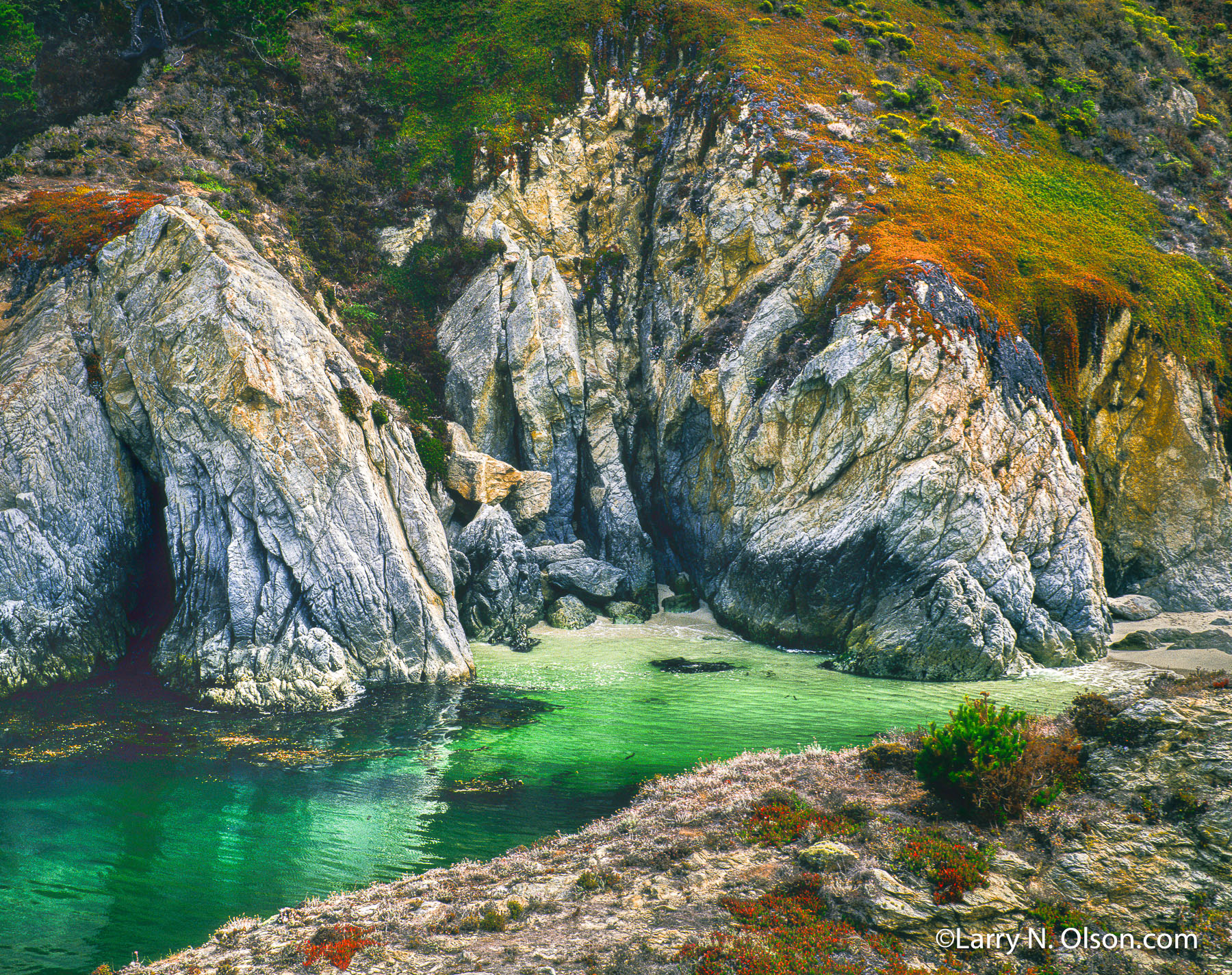 China Cove, Point Lobos, CA | This picturesque rock with unique vegetation is on the coast of California near Carmel.