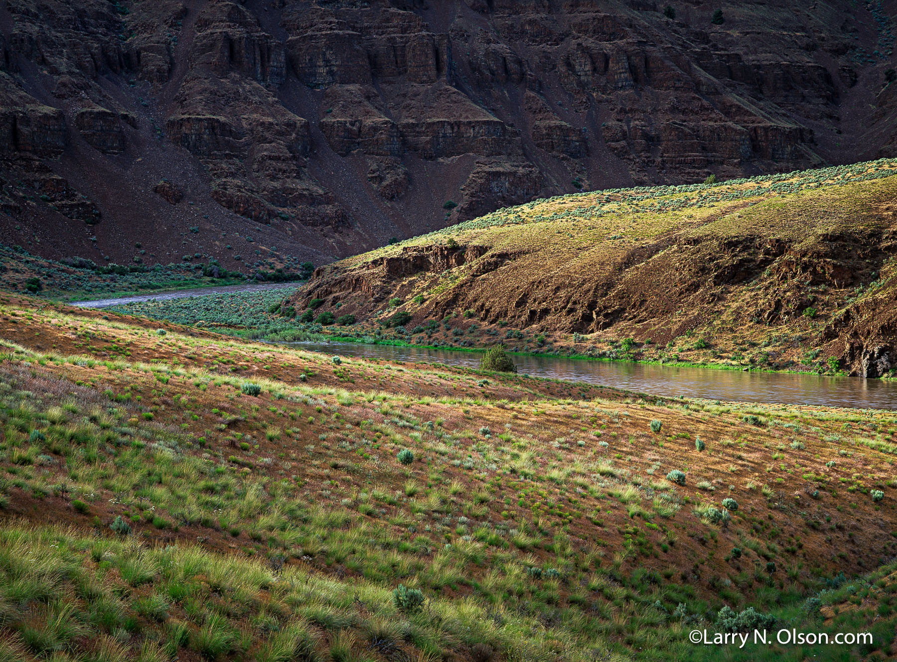 John Day River, OR | Bunchgrass and sage dot the slopes of this Oregon High Desert river.