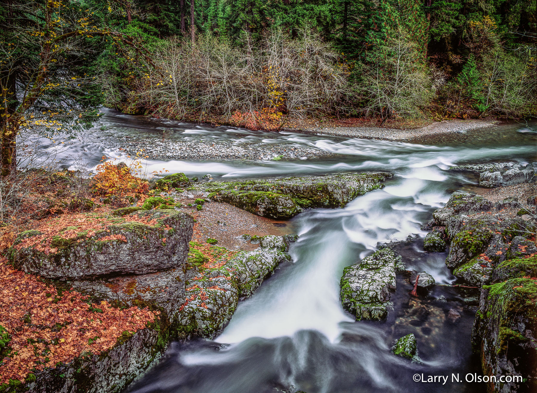 Quartzville Creek #3, Oregon | A tributary enters Quartzville Creek.