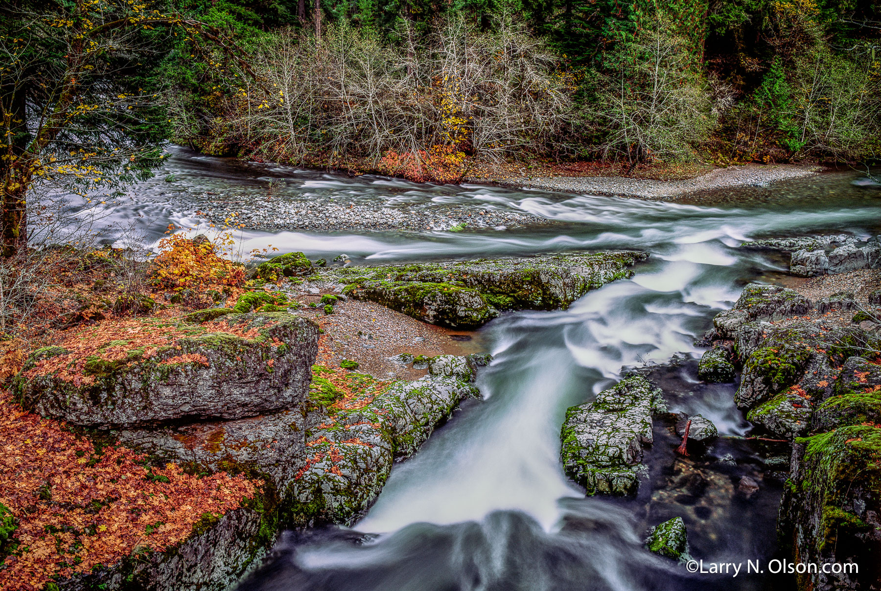 Quartzville Creek #3, Oregon | A tributary enters Quartzville Creek.