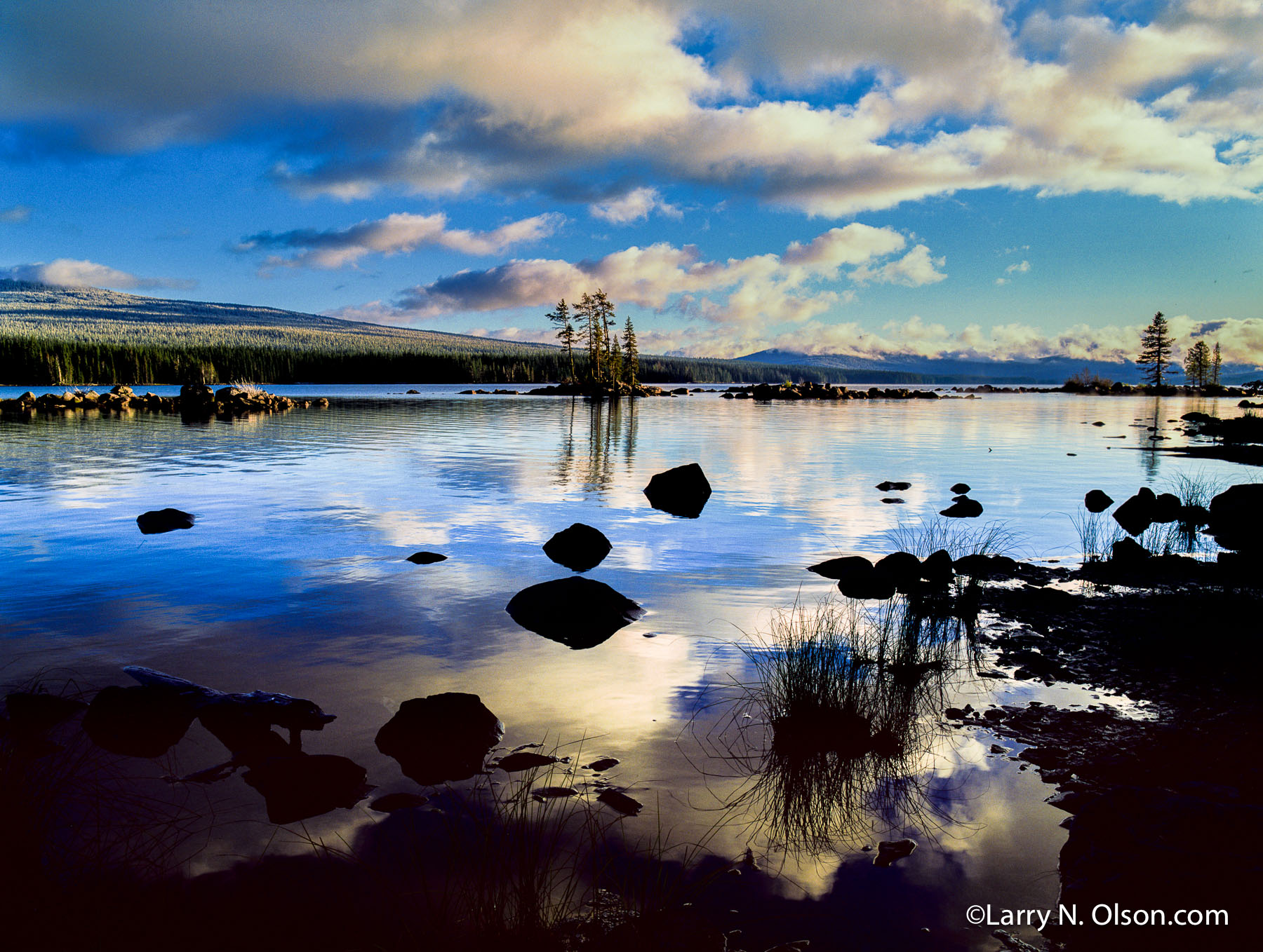 Waldo Lake Wilderness, OR | 