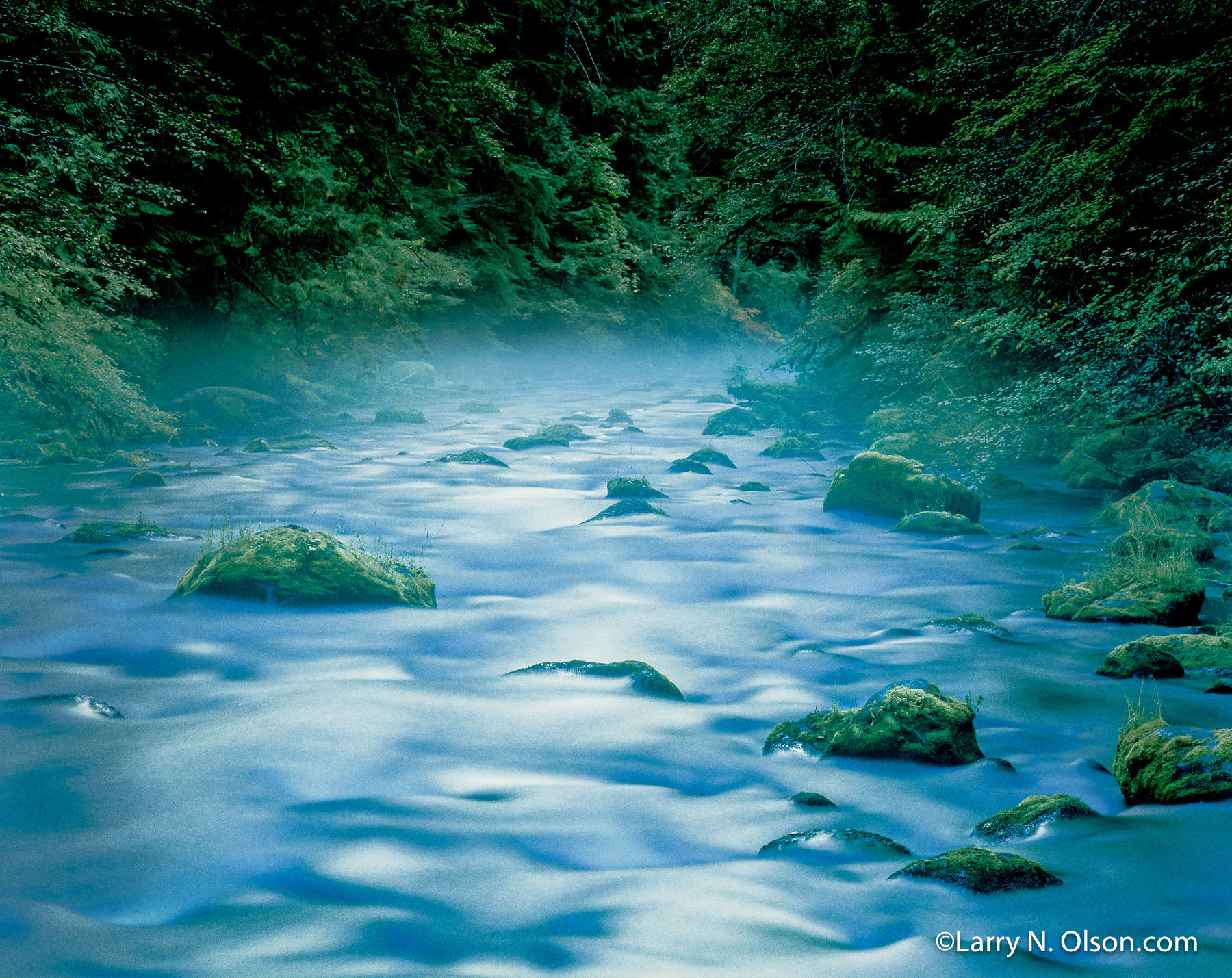 McKenzie River. OR | Twilight colors the water in the river and old growth forest.