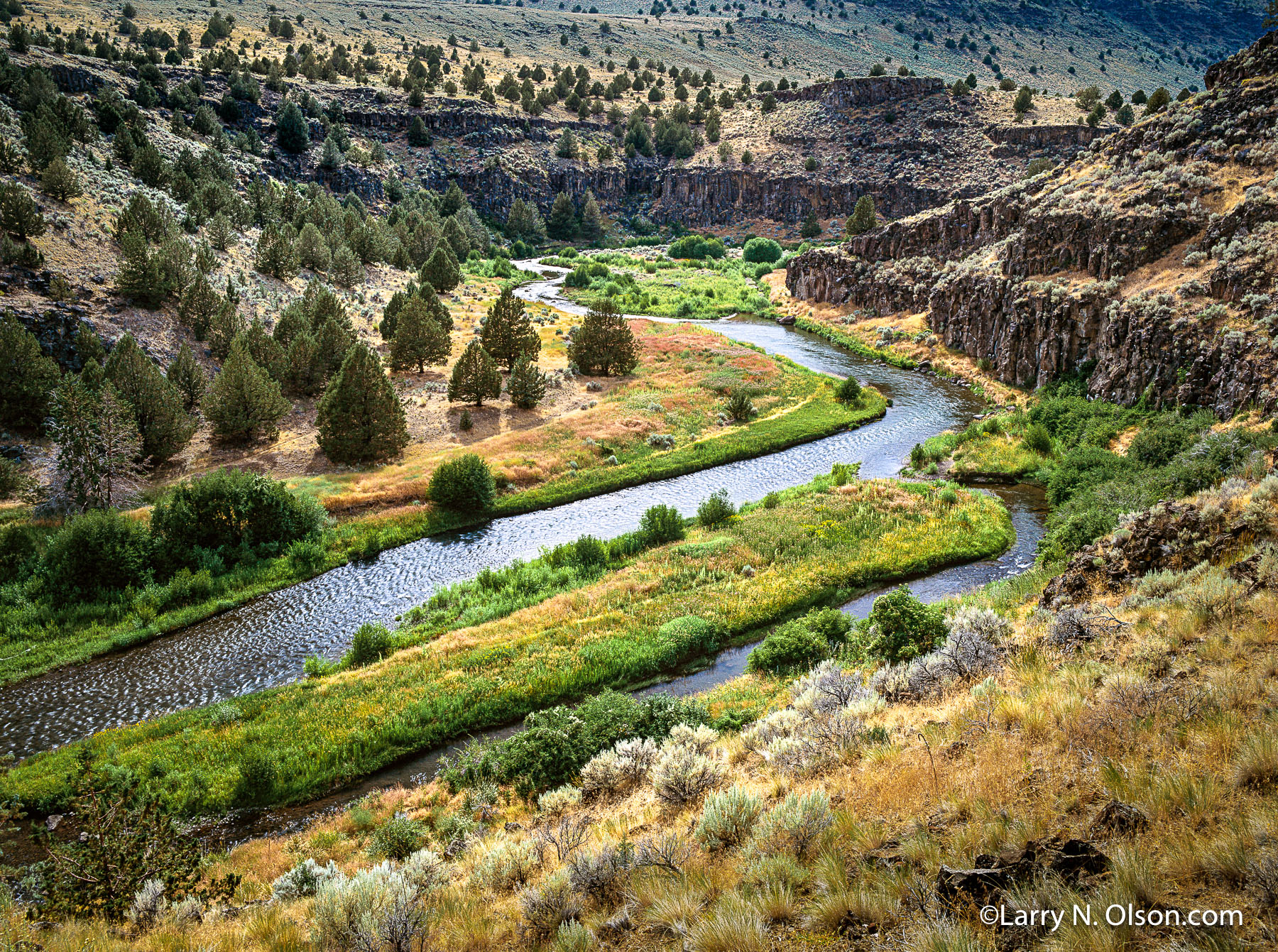 Donner Und Blitzen River, Steens Mountain, OR | A desert river flows through a carved out canyon of basalt with scattered Junipers, Sage, and Bunchgrass.
