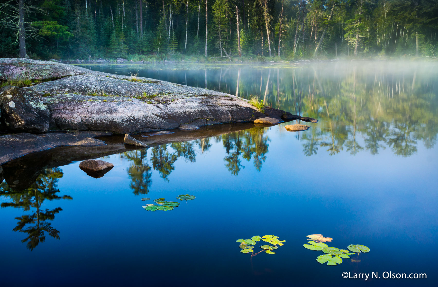 Shell Lake, Boundary Waters Canoe Area, MN | Lilly pads float in a tranquil lake. The granite rock was ground smooth in the last ice age.