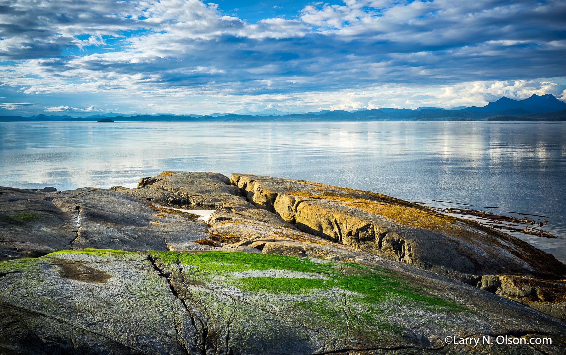 Rock Ledge, White Cliffs, Broughton Archipelago, BC | A rock ledge on the White Cliffs is softly illuminated at dawn in the Broughton Archipelago.