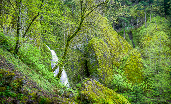Waukeena Falls and Basalt, Columbia River Gorge, OR | The wet micro climate has allowed mosses to cover nearly every surface.