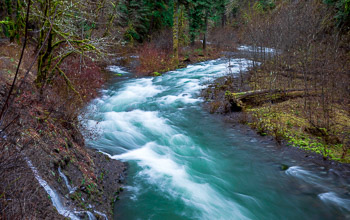 Eagle Creek, Columbia River Gorge, Oregon | 