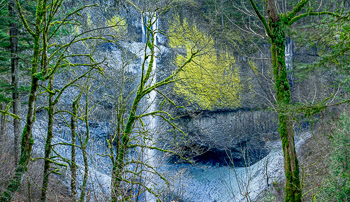 Latourell Falls, Columbia River Gorge, OR | 