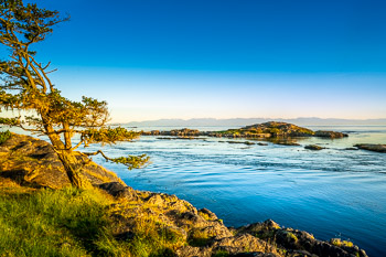 Shark Reef, Lopez Island, San Juan Islands, WA | 