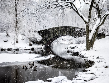 Winter, Gapstow Bridge , Central Park ,NY City | 